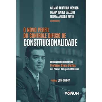 Capa do livro O novo perfil do controle difuso de constitucionalidade: estudos em homenagem ao Professor Bruno Dantas nos 20 anos da Repercussão Geral