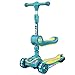 Trottinette Scooter pour Enfants, Roue Clignotante Résistante à l'usure, Convient à Toutes Sortes De Routes, Scooter avec Siège Pliable, Pousse avec Le Bébé(Color:Vert)