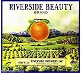 Magnet Riverside Beauty California Orange Citrus Fruit Crate Magnet Vintage Art Print
