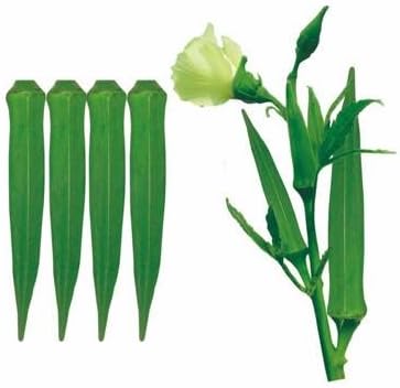 FarmCrane Ladyfinger okra Plant seeds 30 seeds pack bhindi