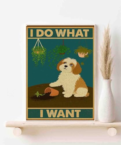Poster humoristique chien de Havane, le cadeau pour amoureux des chiens idéal