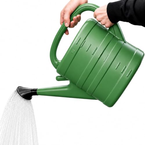 HH Home Hut 10L Watering Can with Detachable Rose Head - Indoor & Outdoor Garden Watering Can Long Spout Lightweight Plastic Green for Houseplants Flowers & Hanging Plants