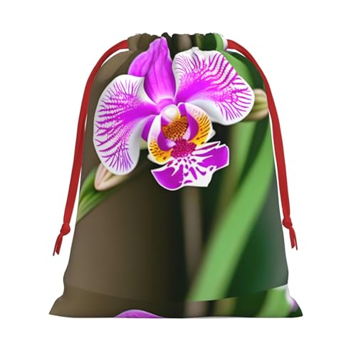 HTTUP vg ėp\ Mtg ֗ȃ|[`  LfB ϕi [ pr