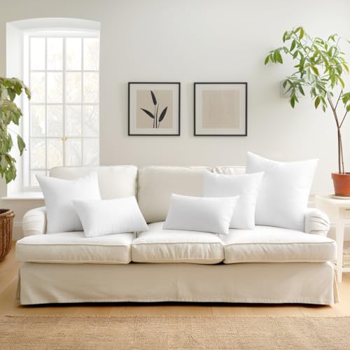 MIULEE Set of 2 Throw Pillow Inserts 20x20 Inches, 100% Virgin Filling Nonwoven Pillow Inserts for Couch Sofa Living Room