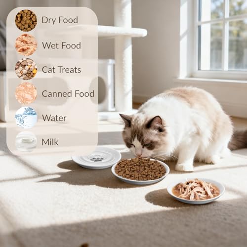 Alitree 4 Stück Katzennapf Keramik, Futternapf Katze mit Rutschfestem Silikonboden, Katzennäpfe Flach von Ermüdung der Schnurrhaare, zum Aufbewahren von Futter und Wasser für Katzen und Welpen