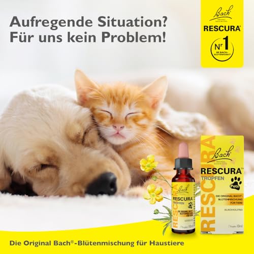 Bach RESCURA Pets Bachblüten Tropfen Set für Tag & NachtI 2x10 ml I Bachblütenmischung für Katzen, Hunde, Pferde und andere Haustiere I ehemals Rescue das Original