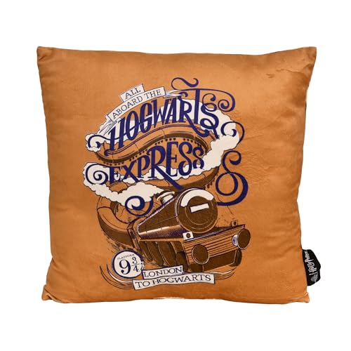 Elbenwald Coussin Harry Potter avec Design du Poudlard Express - 40 x 40 cm - avec Billet de l'Express au Dos - pour Hommes Femmes Unisexe - Idée Cadeau -...
