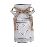 . 【Construction】: Fabriqué en métal de fer épaissi, ce vase robuste assure une utilisation longue durée tout en conservant son aspect élégant