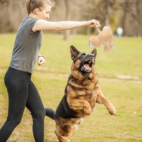 Nobleza Hundespielzeug, Plüschhundespielzeug, Quietschende Hundespielzeuge mit Knitterpapier, süßes Tauziehen Hundekauspielzeug für Welpen, kleine, mittlere, große Hunde, (Faultier)