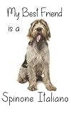 My best Friend is a Spinone Italiano: 8” x 5” Blank lined Journal Notebook 120 College Ruled Pages (Best Friends, Band 152)