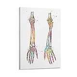 Medizinische und wissenschaftliche Kunst Armknochen Poster Wandkunst Poster Scrollen Leinwand Malerei Bild Wohnzimmer