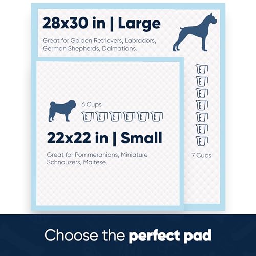Image of American Kennel Club Scented Puppy Training Pads with Ultra Absorbent Quick Dry Gel - 28 x 30 Pee Pads for Dogs - Fresh Scented - 50 Count, XL (Pack of 6)