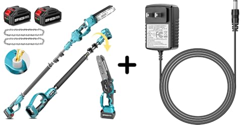 Image of SEESII 2 in 1 Cordless 8 inch Pole Saw & Mini Chainsaw with Battery Charger