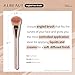 Albeaut Face Brush for Blush, Bronzer, and Contour Highlighter Makeup Brush Set for Flawless Face Makeup Application - Vegan & Cruelty-Free (Face Brush + Blender)