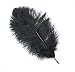 Ostrich~Jet Black 20 Ostrich Feather 9-12" to Decorate Eiffel Tower Vase