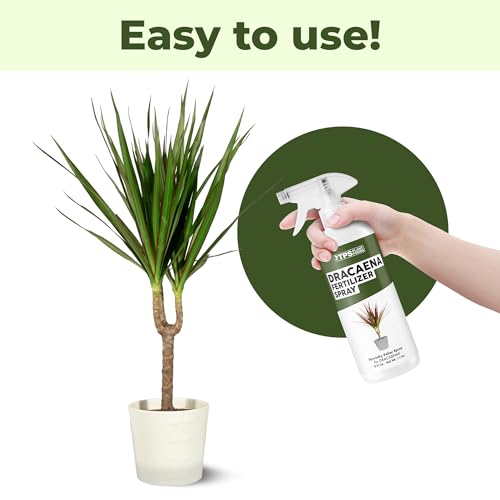 Dracaena Fertilizer Spray – Mist de 16 oz miniatura 4