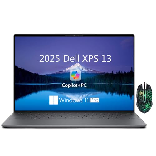 Dell XPS 13 9345 Business Laptop, Copilot AI Laptops Computer, 13.4' FHD+ Display, Snapdragon X Plus, 16GB LPDDR5X RAM, 512GB SSD, Wi-Fi 7, Backlit KB, Fingerprint, Windows 11 Pro