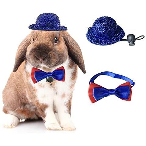 Vehomy Kleintier-Kostüm, Unabhängigkeitstag, 4. Juli, Kaninchen, Meerschweinchen, Hut und Fliege, Halsband für Chinchilla, Igel andere ähnliche kleine Haustiere, 2 Stück Cover