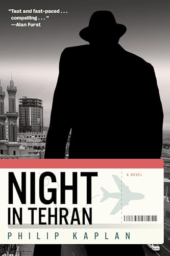 Night in Tehran view 2