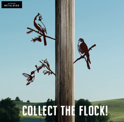 Metalbird - Peregrine Falcon - Outdoor Tree Ornaments In Corten Steel - Metal Art Proudly Made In America #TOP3