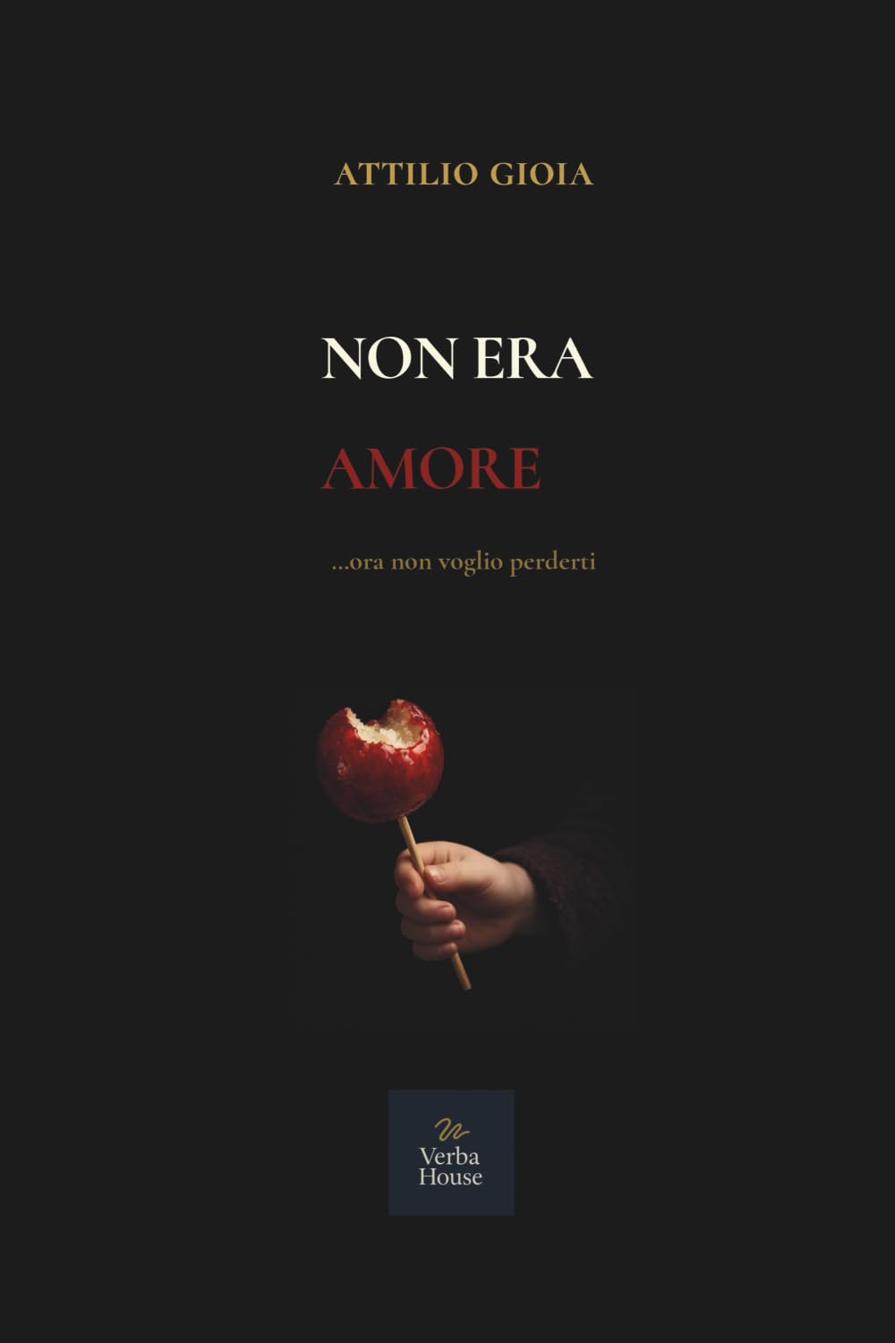 NON ERA AMORE: ...ora non voglio perderti