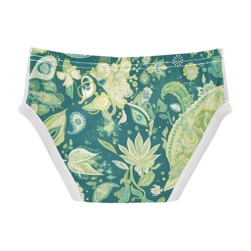 Traditional Oriental Paisley Pattern Vintage Watercolor Toddler Boy Cotton Kids Underwear Cute Children Undies2