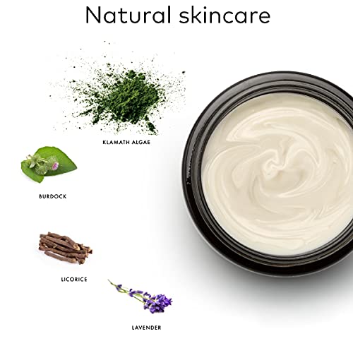 ALKEMY Crema Antiacné e Imperfecciones – Cosmética Natural – Tratamiento Acné Dermatológicamente Testado – Fuerte acción… - Imagen 3