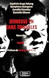 JEUNESSE EN EAUX TROUBLES (French Edition)