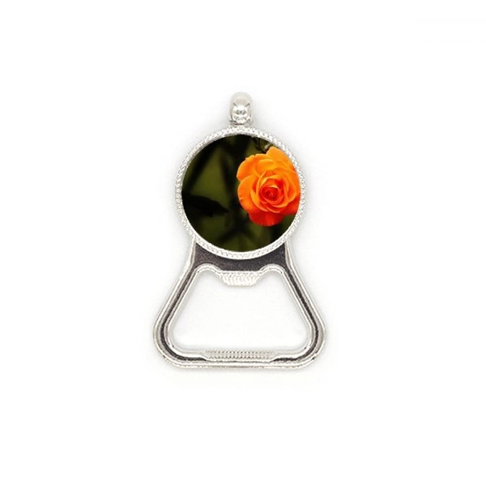 Ouvre-bouteille en acier inoxydable fleurs orange et vert foncé résistant