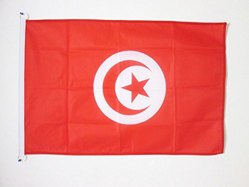 AZ FLAG - Tunisia Flag - 2x3 Ft - For Outdoor - Tunisian Banner Knitted Polyester with Two Plastic Rings - Fade Resistant - Vivid Colors - 2' x 3' Feet - 90x60 Cm