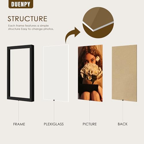 Image of DUENPY 4 Folding 4x6 Accordion Wood Frame Plexiglass Black