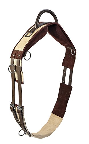 Foto von Longiergurt mit Handgriff