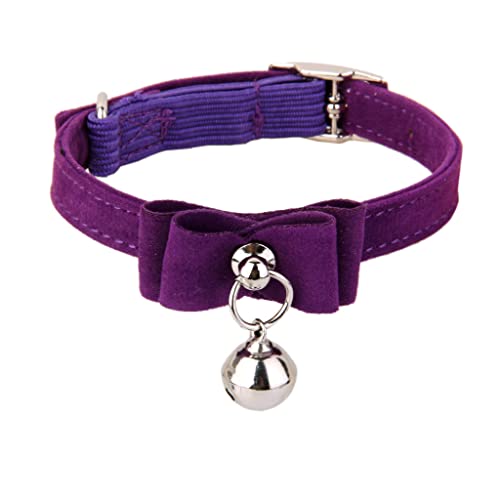 KJOET ybg qL L qp ybgL̎ AWX^[t obN  lbNXgbv t ip[vj