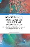 Indigenous Peoples, Marine Space and Resources, and International Law: The Interaction Between International Human Rights Law and the Law of the Sea (Indigenous Peoples and the Law)