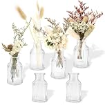 Glass Bud Vases, 6 Pcs Small Vases for Flowers, 50 ml Clear Small Glass Vase, Vintage Mini Ribbed Vase Set for Table Decoration, Centerpieces, Wedding, Party, Home Decor - 7.5 x 4.2 cm