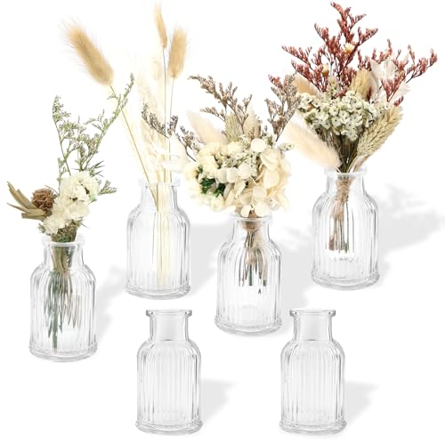 Mini Glass Bud Vases 6 Pcs Small Vases for Flowers 50 ml Clear Mini Vase