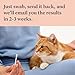 Wisdom Panel Complete: Comprehensive Cat DNA Test kit for 45 Health Genetic Health Conditions, 70+ Breeds and populations, 25+ Traits, Blood Type - Pack of 1