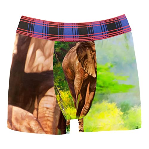 Sous-vêtements personnalisés pour homme avec motif d'éléphants et peinture à l'huile, multicolore, Medium-Large