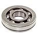 Omix-Ada 18881.02 Manual Transmission Mainshaft Bearing
