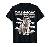 British Shorthair regalo mamma gatta per il