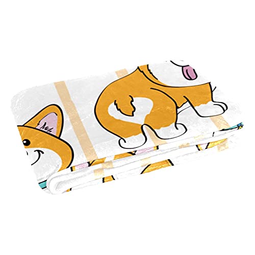 Couverture chaude à rayures Corgi 150x100 contre les soirées fraîches