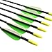 Fiberglass Practice Arrows Archery 28 Inch Target Shooting Safety Recurve Bows Suitable for Youth Children Woman Beginner 12 PCS