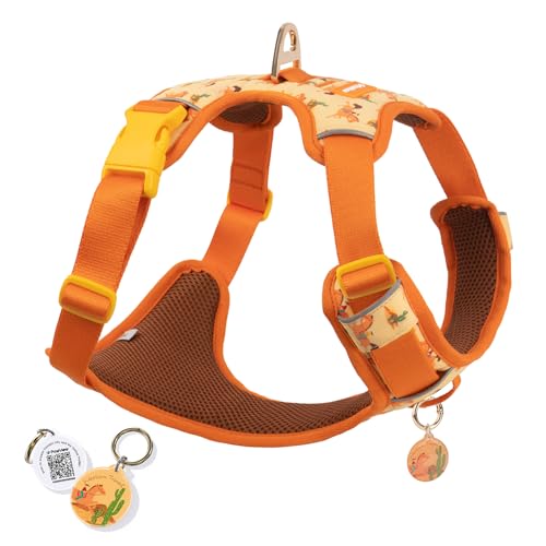 PawView Escape Proof Western Cowboy No Pull Dog Harness, Soft Air Mesh Vest with Front & Back Clips, Adjustable Fit, Includes QR ID Tag for Safe Walking & Running, Orange, Large
