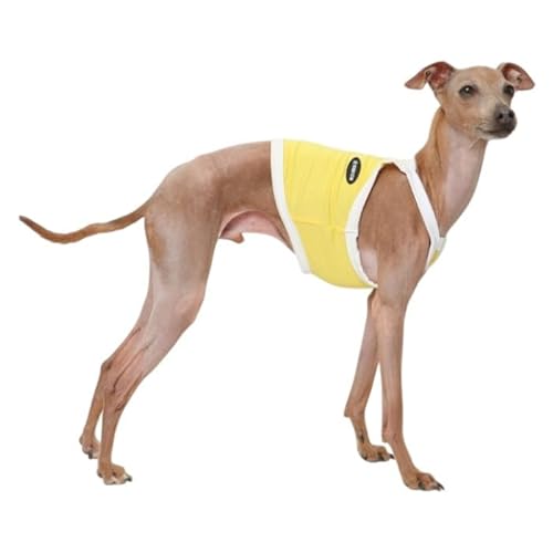 D DOGGY STAR C^O Ђ ڐG⊴ X|[c N[ Nbvh ^Ngbv ^ ^ ^  doggystar hbM[X^[ (F, L)