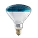 Philips 38532-8 - 100 Watt Light Bulb - PAR38 - Blue - 2,000 Life Hours - 120 Volt