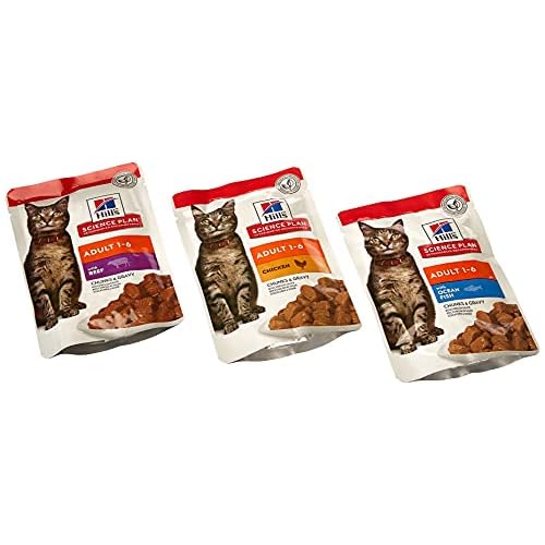 Hill Science Plan Feline Adult Katzenfutter Biscuit Fragile Magen-Huhn mit Ei / Reis (12 X 85g)