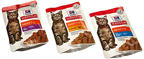 Hill Science Plan Feline Adult Katzenfutter Biscuit Fragile Magen-Huhn mit Ei / Reis (12 X 85g)
