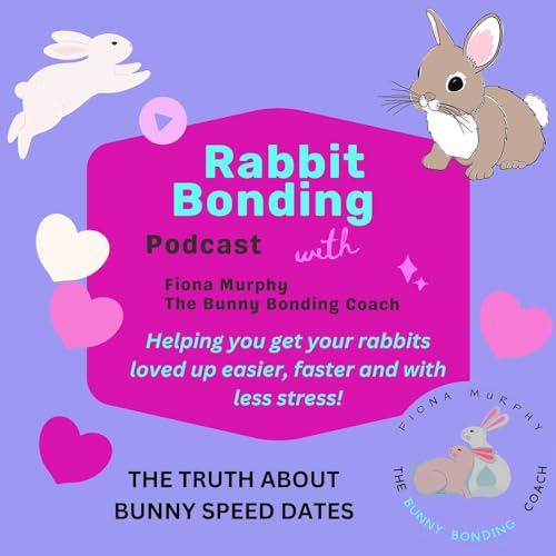 THE TRUTH ABOUT BUNNY SPEED DATES AND BONDING