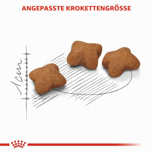 ROYAL CANIN Kitten STERILISED Trockennahrung für Katzen – 0.4 kg