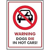 VSafety